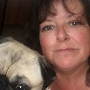 Meet your Posher, Lester